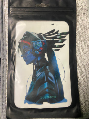 SoulTruth Stickers